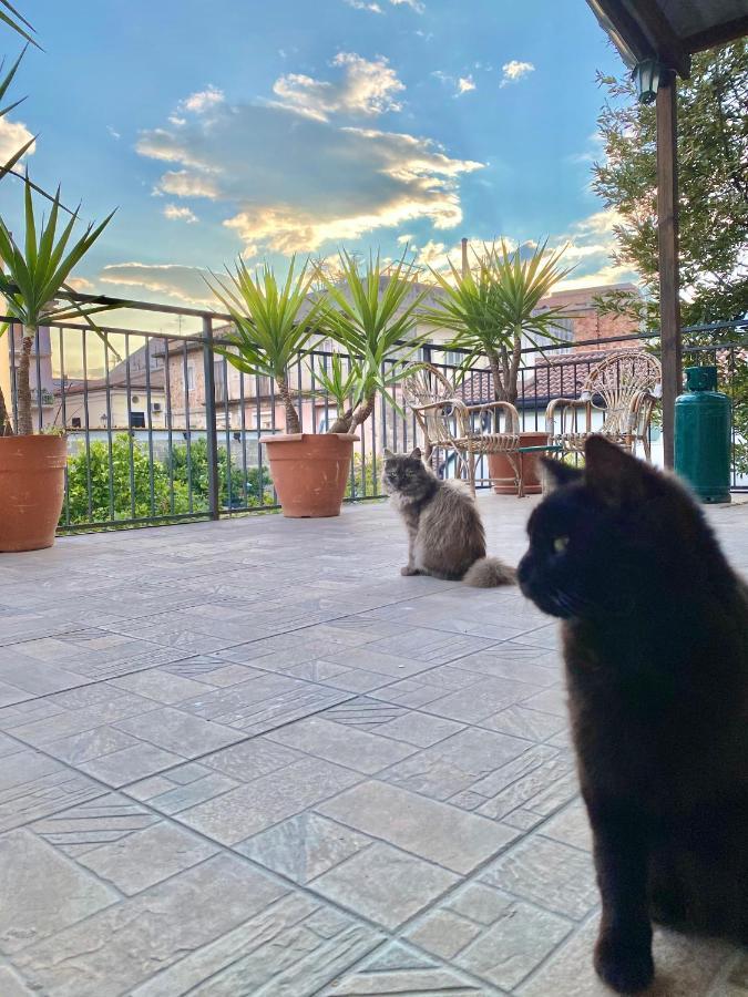 Вілла La Terrazza Сапрі Екстер'єр фото